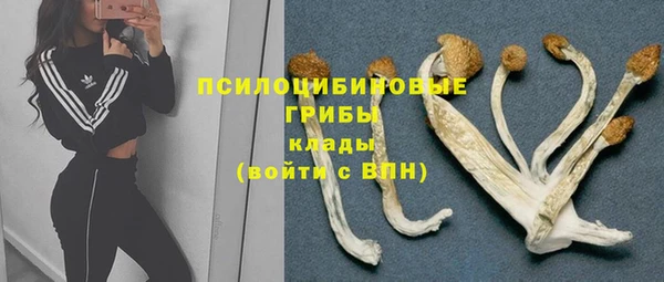 MDMA Premium VHQ Дмитровск