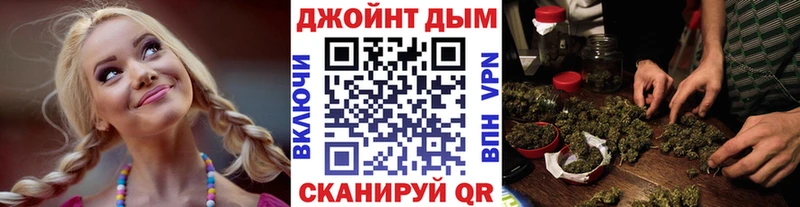 Канабис план  Купить где  Ленинск-Кузнецкий 